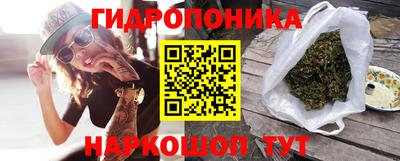 spice Кунгур
