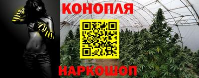 spice Кунгур